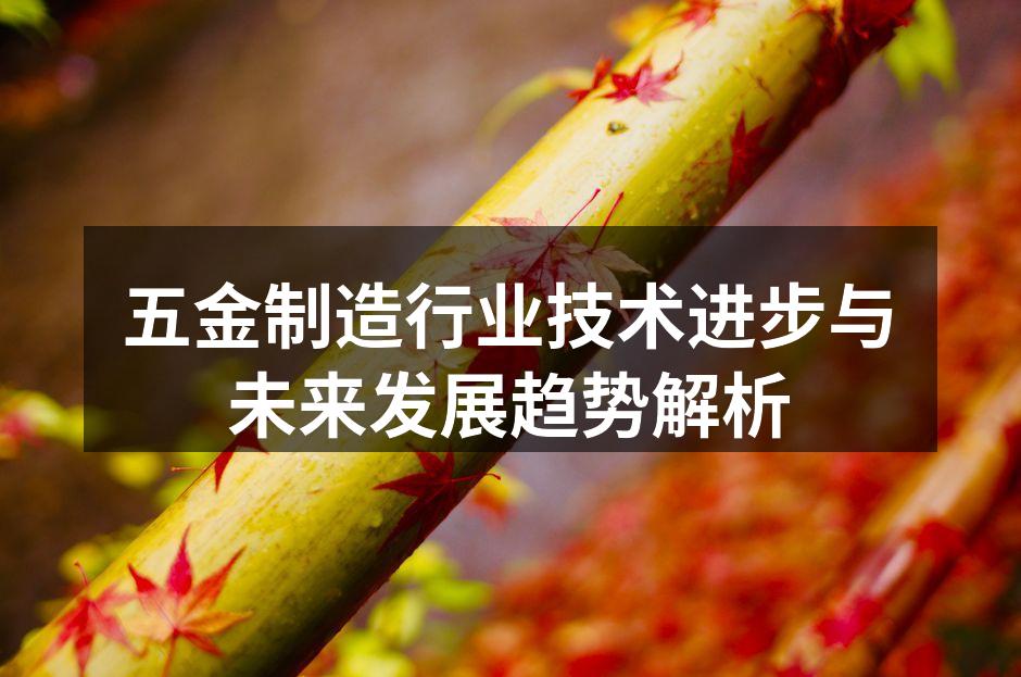 五金制造行业技术进步与未来发展趋势解析